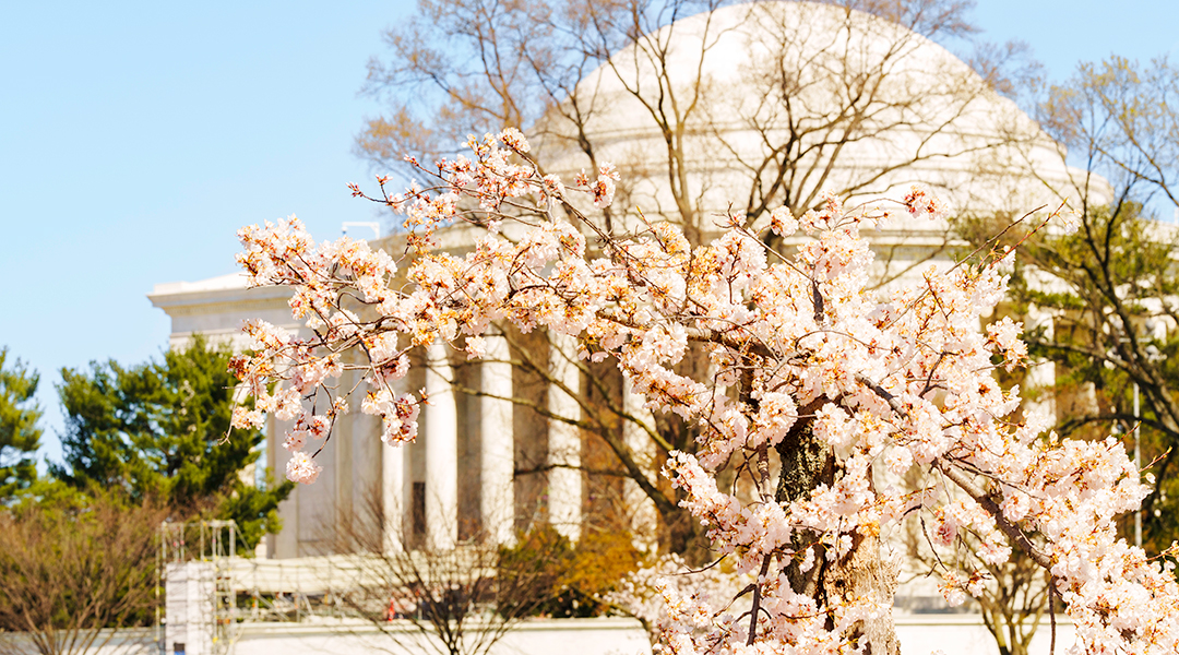 Jefferson Memorial